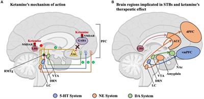 Suicide prevention and ketamine: insights from computational modeling